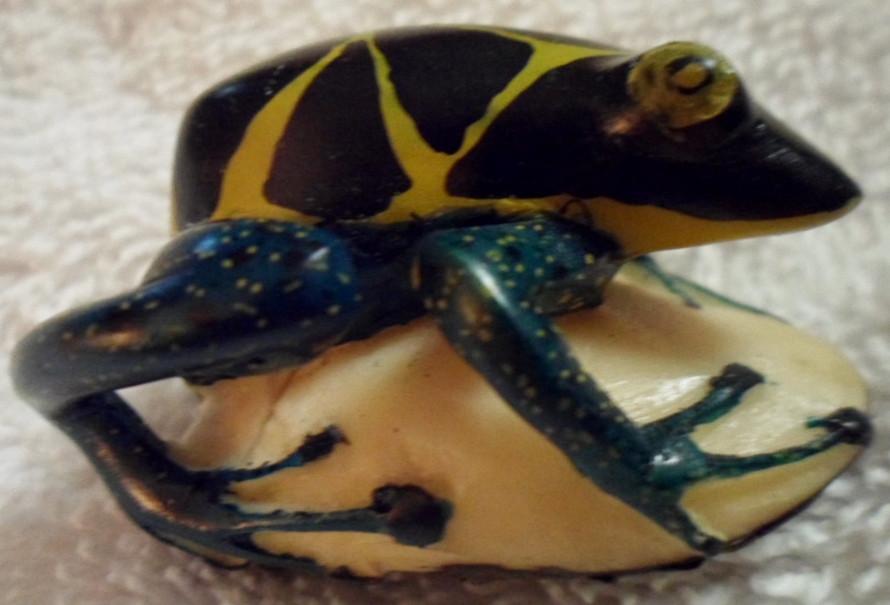 Wounaan Embera Poison Dart frog Tagua Carving-Panama 16082011M