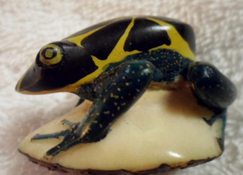 Wounaan Embera Poison Dart frog Tagua Carving-Panama 16082011M