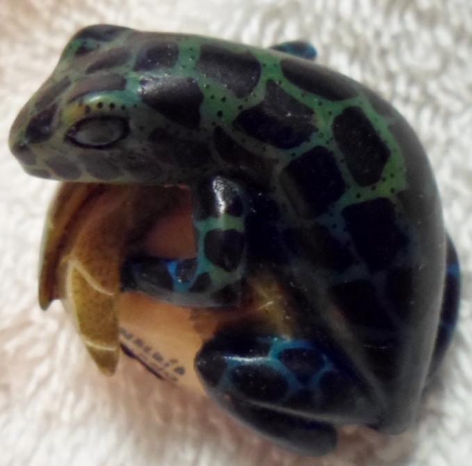 Wounaan Embera Poison Dart frog Tagua Carving-Panama 16082012M