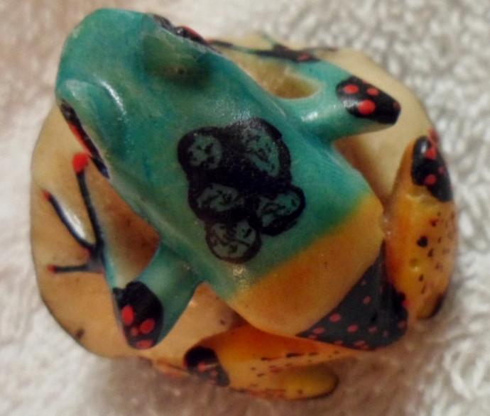 Wounaan Embera Poison Dart frog Tagua Carving-Panama 16082014M