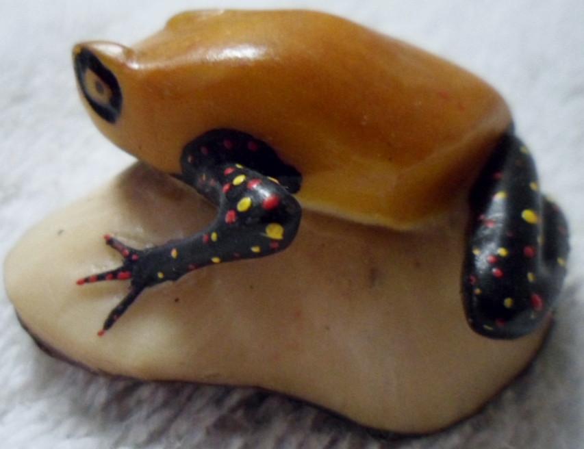 Wounaan Embera Poison Dart Frog Tagua Carving-Panama 15102704L