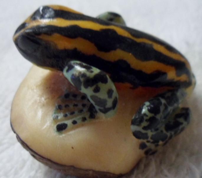 Wounaan Embera Poison Dart Frog Tagua Carving-Panama 15102707L