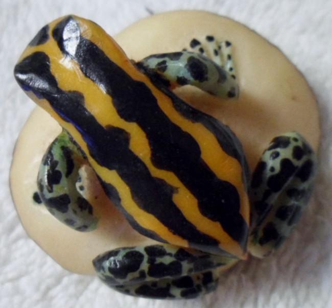 Wounaan Embera Poison Dart Frog Tagua Carving-Panama 15102707L