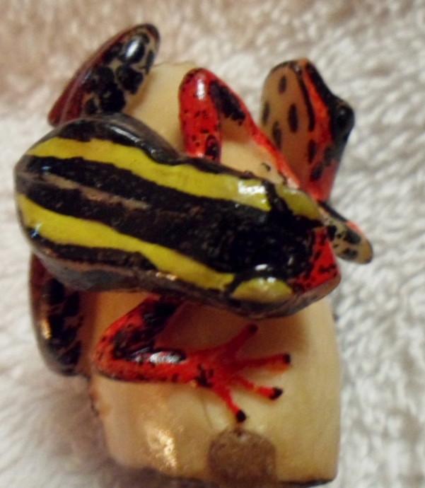 Wounaan Embera 2 Frog Tagua Carving-Panama 16082029M