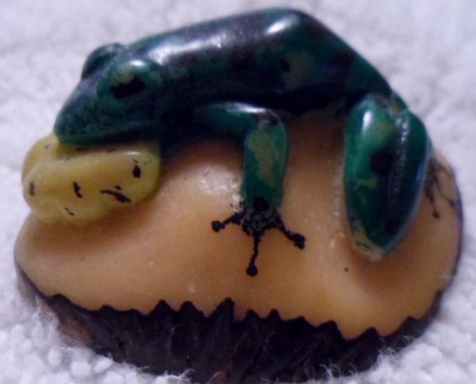 Wounaan Poison Dart Blowthroat Frog Tagua Carving Art-Panama 15103008L