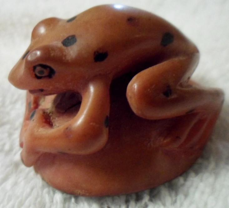 Wounaan Embera Dyed Frog Tagua Carving Art-Panama 15103013L