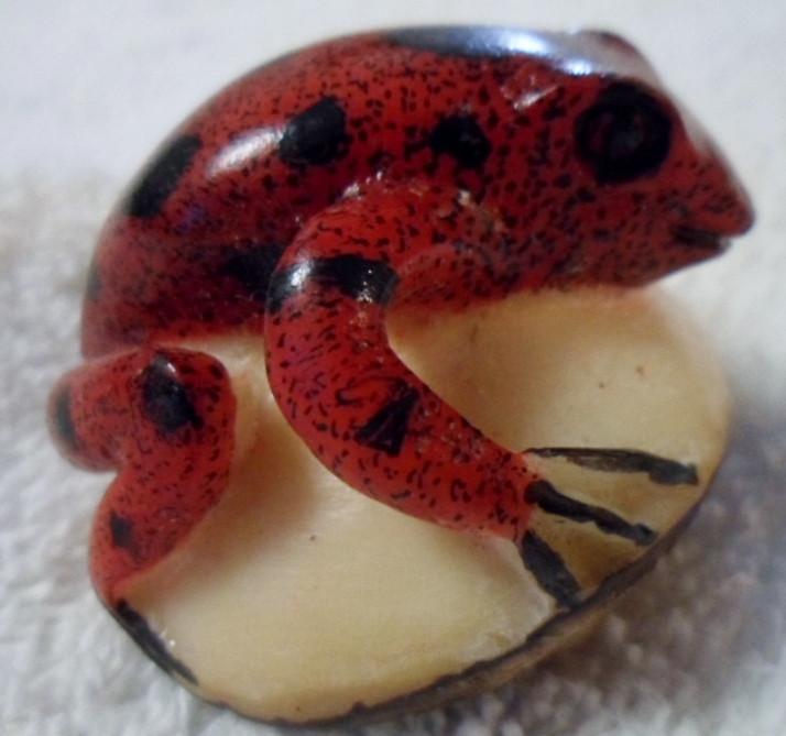 Wounaan Embera Poison Dart Frog Tagua Carving Art-Panama 15103015L