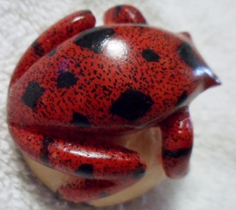 Wounaan Embera Poison Dart Frog Tagua Carving Art-Panama 15103015L