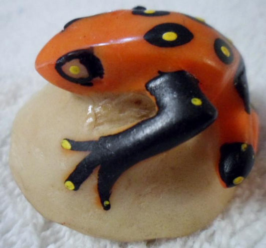 Wounaan Embera 2 Poison Dart Frog Tagua Carving Art-Panama 15103017L