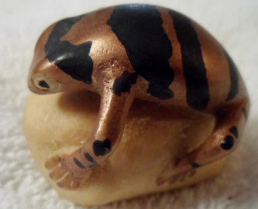 Wounaan Embera  Poison Dart Frog Tagua Carving Art-Panama 15103018L