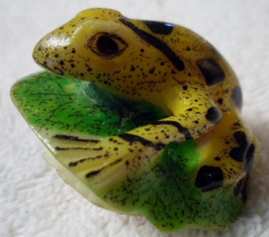 Wounaan Embera  Poison Dart Frog Tagua Carving-Panama 15110339L