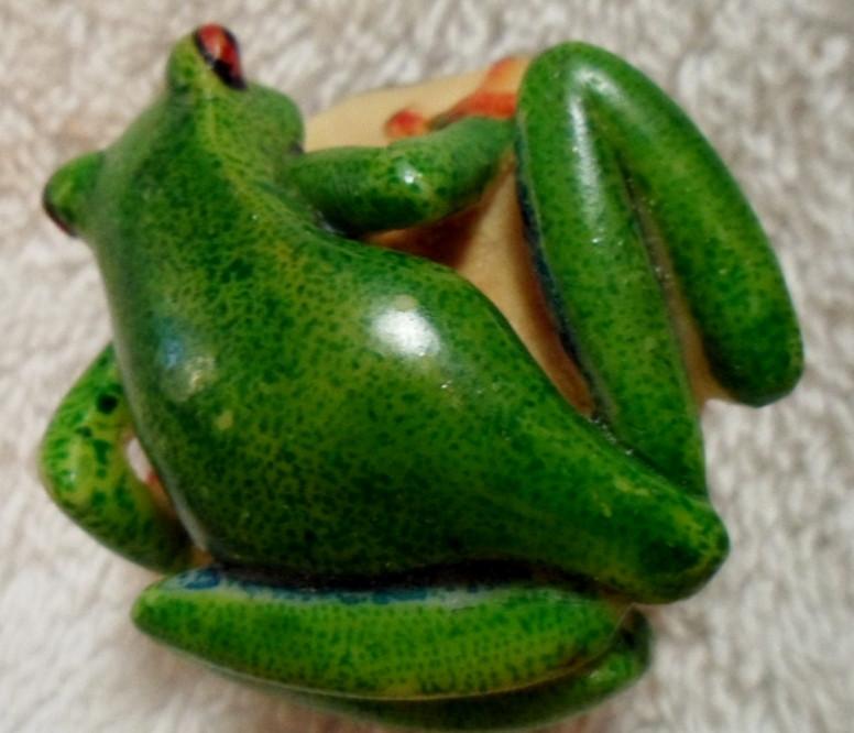 Wounaan Embera Red-Eyed Tree Frog Tagua Carving-Panama 16083017L