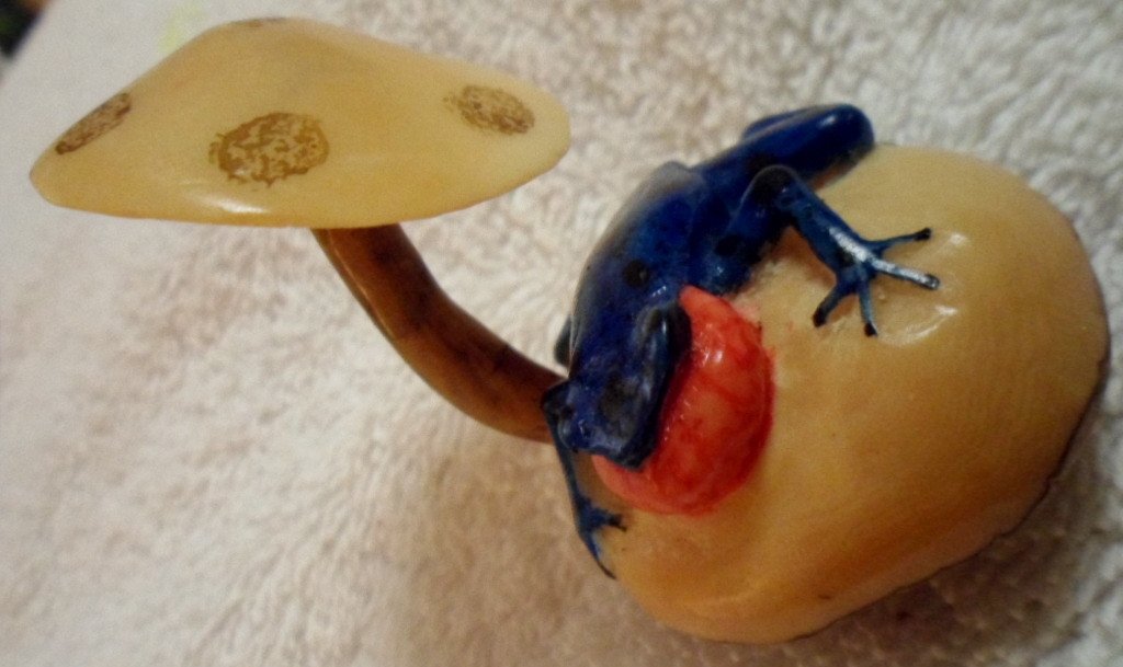 Wounaan Embera Mushroom & frog Tagua Carving-Panama 16090102M