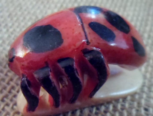 Wounaan Embera Spider Insect Tagua Carving-Panama 16090807M