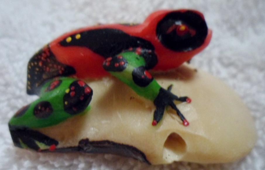 Wounaan Embera Poison Dart Frog Tagua Carving-Panama 16091702L