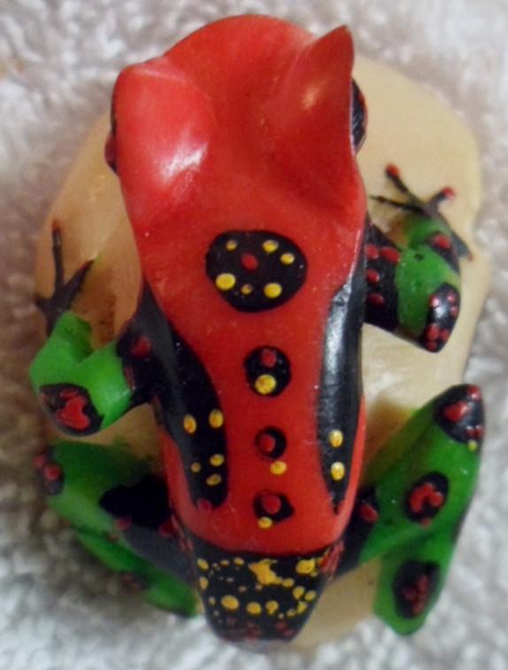 Wounaan Embera Poison Dart Frog Tagua Carving-Panama 16091702L
