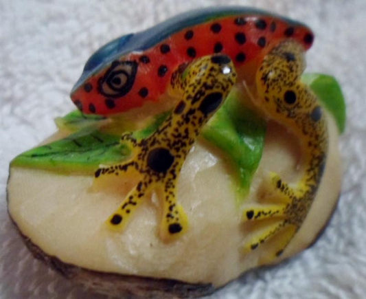 Wounaan Embera Poison Dart Frog Tagua Carving-Panama 16091704L