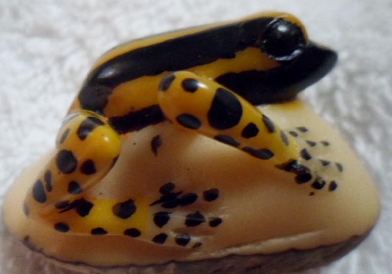 Wounaan Embera Poison Dart Frog Tagua Carving-Panama 16091705L