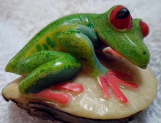 Wounaan Embera Red-Eyed Tree Frog Tagua Carving-Panama 16091809L