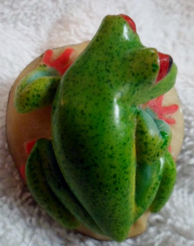 Wounaan Embera Red-Eyed Tree Frog Tagua Carving-Panama 16091809L