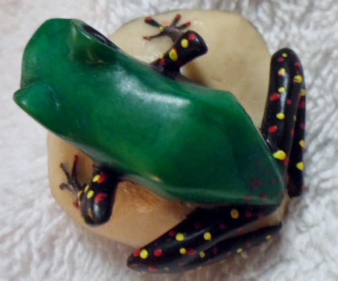Wounaan Embera Poison Dart Frog Tagua Carving-Panama 16091708L