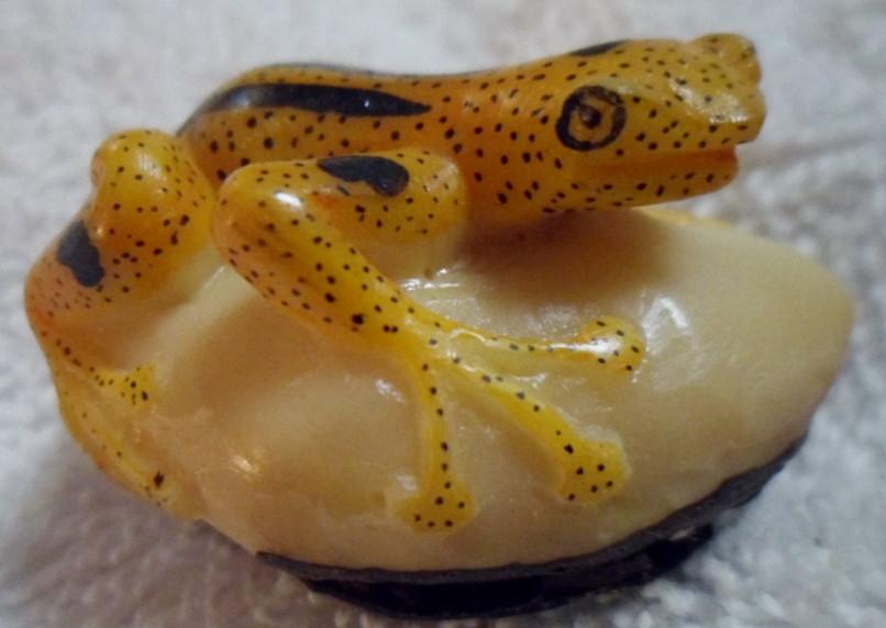 Wounaan Embera Poison Dart Frog Tagua Carving-Panama 16091709L