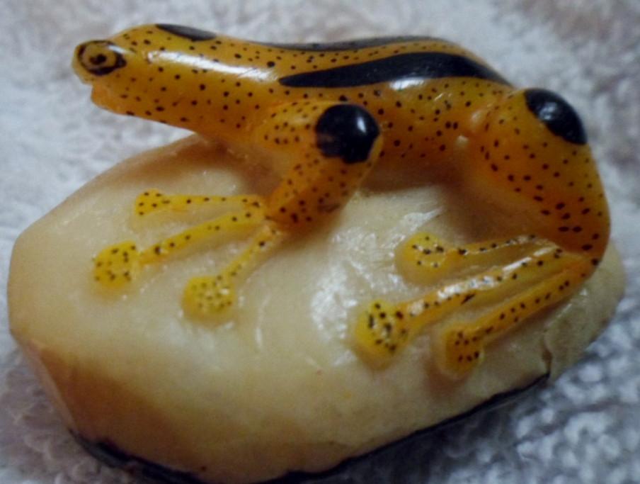 Wounaan Embera Poison Dart Frog Tagua Carving-Panama 16091709L