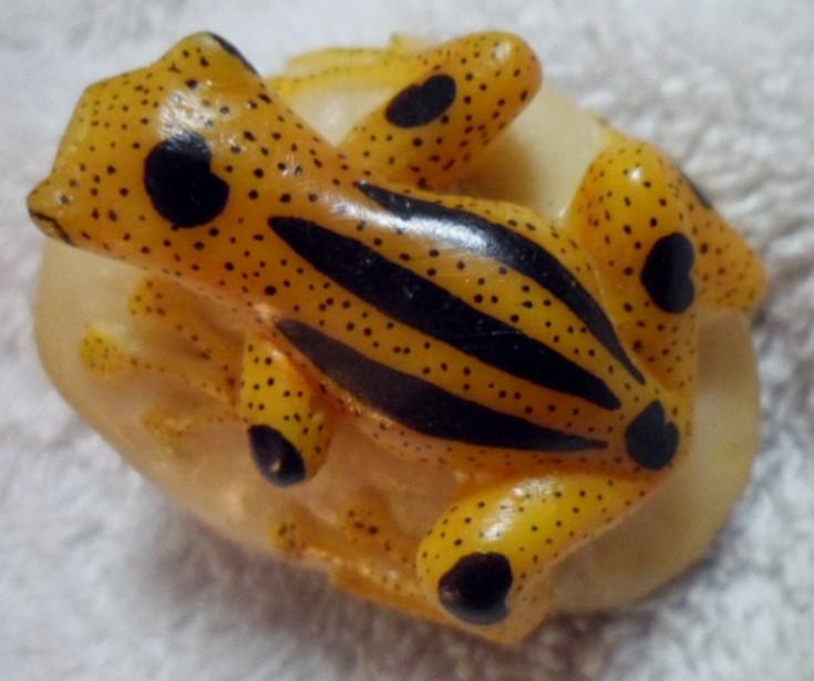 Wounaan Embera Poison Dart Frog Tagua Carving-Panama 16091709L