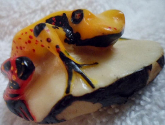 Wounaan Embera Poison Dart Frog Tagua Carving-Panama 16091804L
