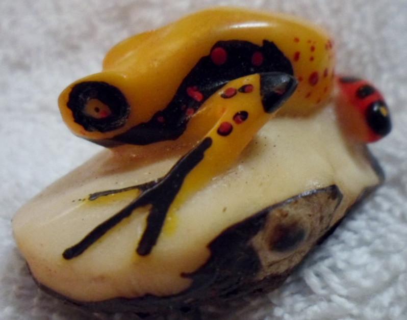 Wounaan Embera Poison Dart Frog Tagua Carving-Panama 16091801L