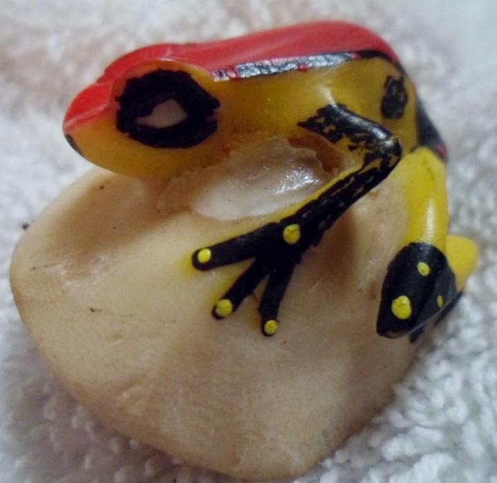 Wounaan Embera Poison Dart Frog Tagua Carving-Panama 16091803L