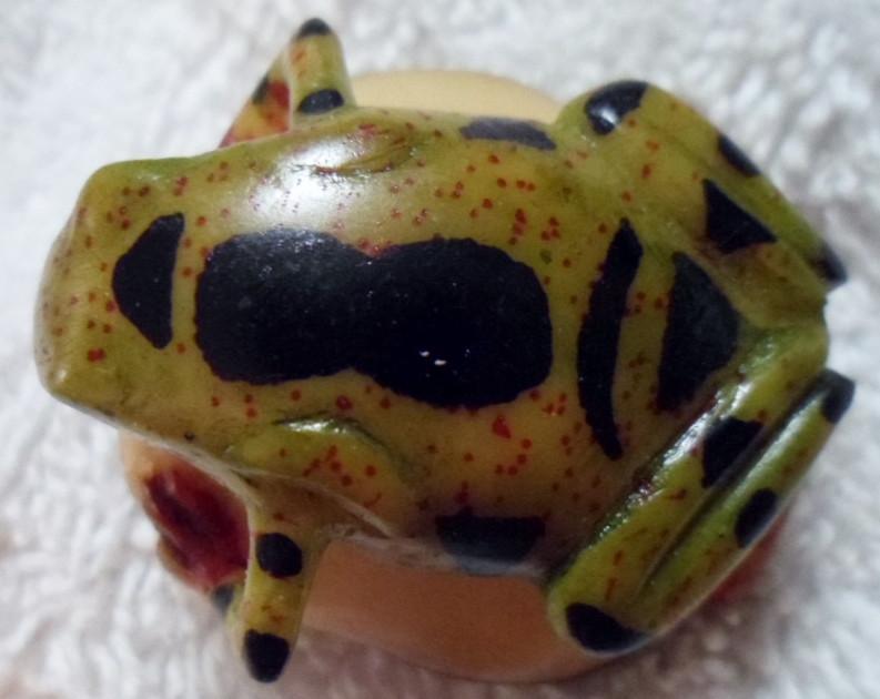 Wounaan Embera Poison Dart Frog Tagua Carving-Panama 16091806L